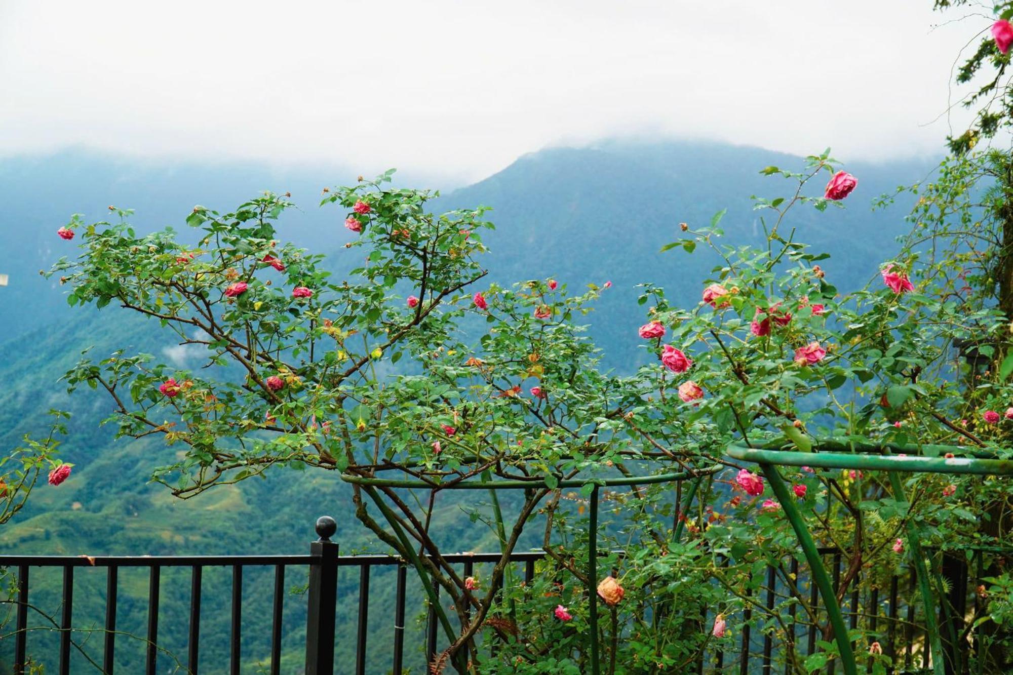 Sapa Highland Resort & Spa Exterior photo
